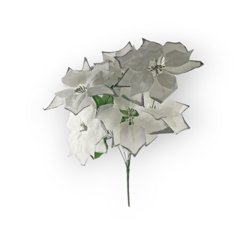 Mikulásvirág Több Színben 55Cm 