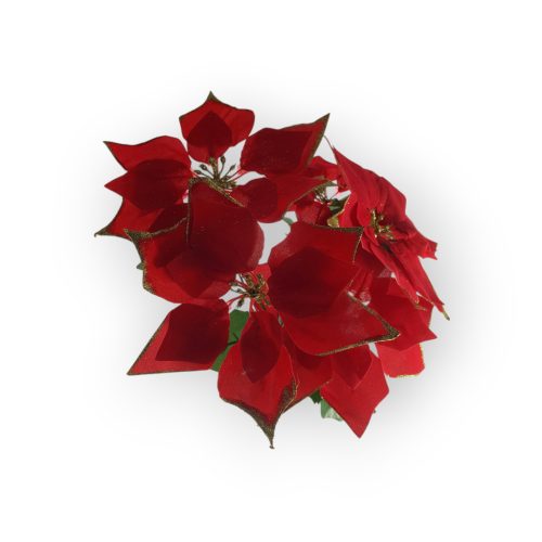 Mikulásvirág Több Színben 55Cm 