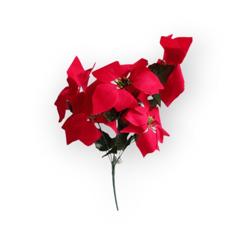 Mikulásvirág Több Színben 55Cm 