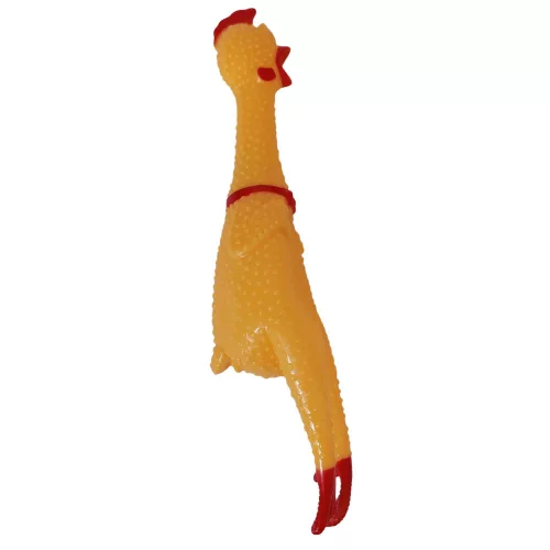 Sikoltó csirke közepes