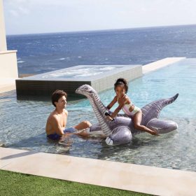 Brontosaurus lovagló állat