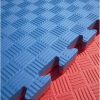 Puzzle Tatami Torna Szönyeg Elem 100 X 100 X 3 cm védőszegéllyel világos piros/kék