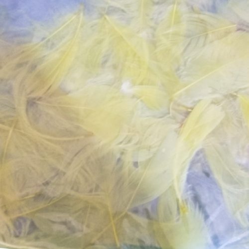 Tollas úszógumi  60cm