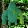 Homokkal töltött gorilla 15 cm