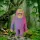 Homokkal töltött gorilla 14cm 
